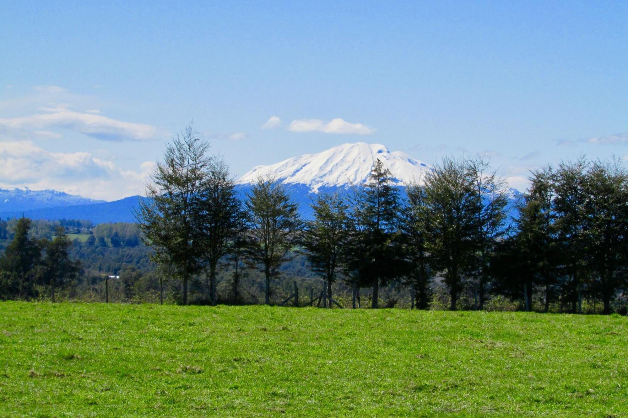 Bed&Breakfast en el campo Bed and Breakfast Puerto Varas Exterior foto